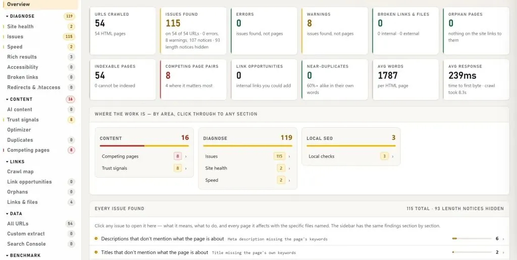Tabloul de bord al unui raport: 54 de pagini verificate, 115 probleme, 8 perechi de pagini în conflict